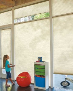 Hunter Douglas Applause® Honeycomb Shades with PowerView™
