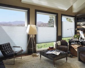 Home Office with duette window coverings